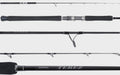 Terez Spinning Rods